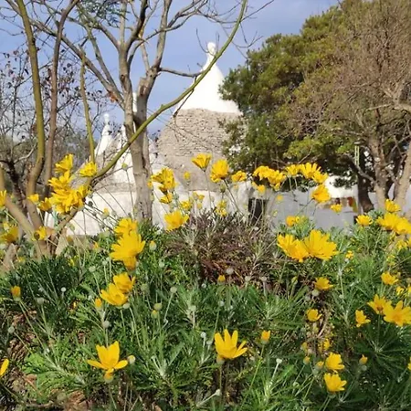 Semesterbostad La Valle Dei Trulli *